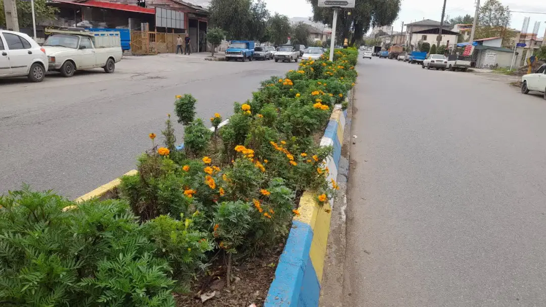 عزمی راسخ و همتی بلند برای توسعه فضای سبز شهری رحیم‌آباد