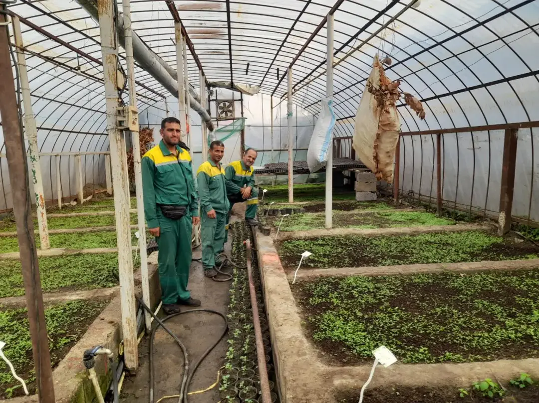 عزمی راسخ و همتی بلند برای توسعه فضای سبز شهری رحیم‌آباد